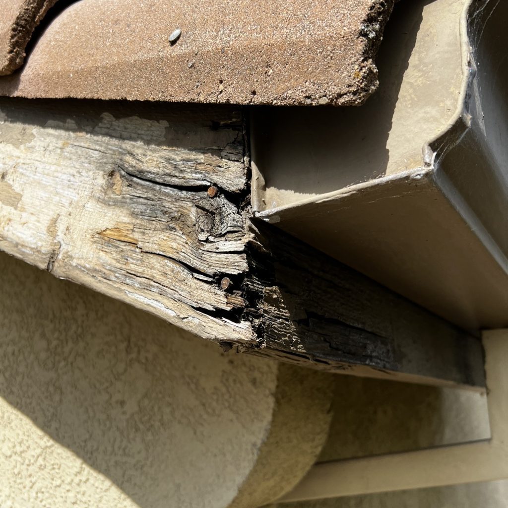 TRPainting_Pros_IMG_Full_15