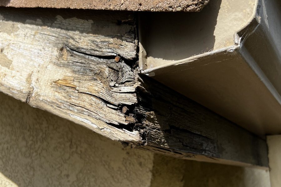 TRPainting_Pros_IMG_Full_15 TRPainting_Pros_IMG_Full_15